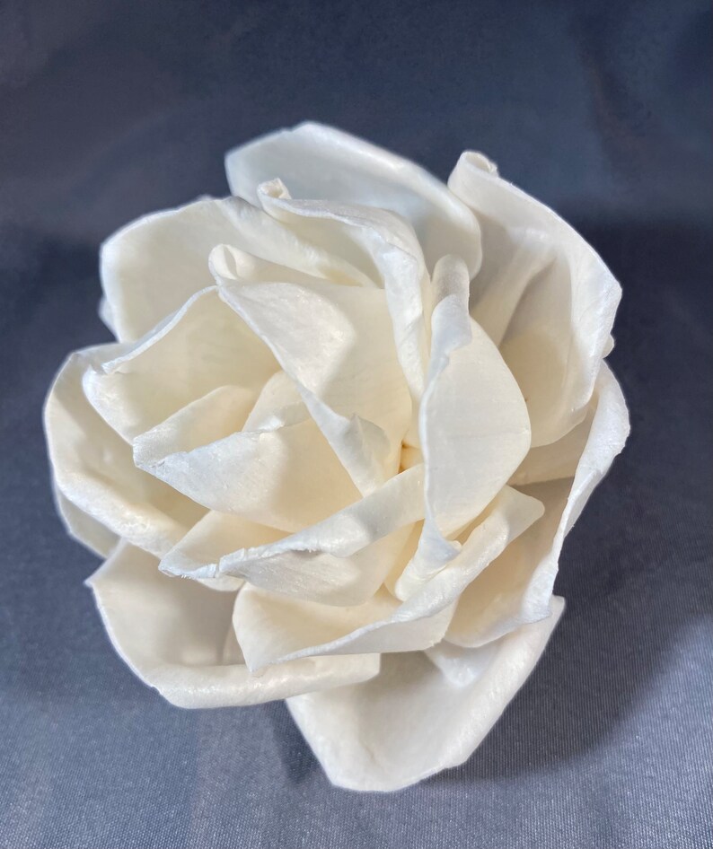 Reed Diffuser Flower, Reed Sticks Alternative Etsy