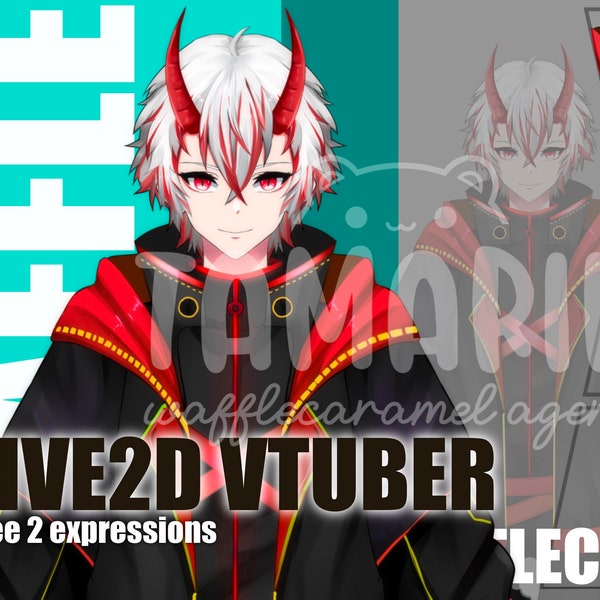 NEU!! CUSTOM VTUBER LIVE2D Anime Kunst Auftragsarbeit | kommerzielle Nutzung | live 2D Modell | vtuber Modell | Fertig zum Aufhängen