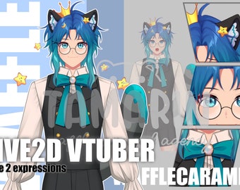 Premade Live2D VTuber Model: Ready to Rig, Commercial Use