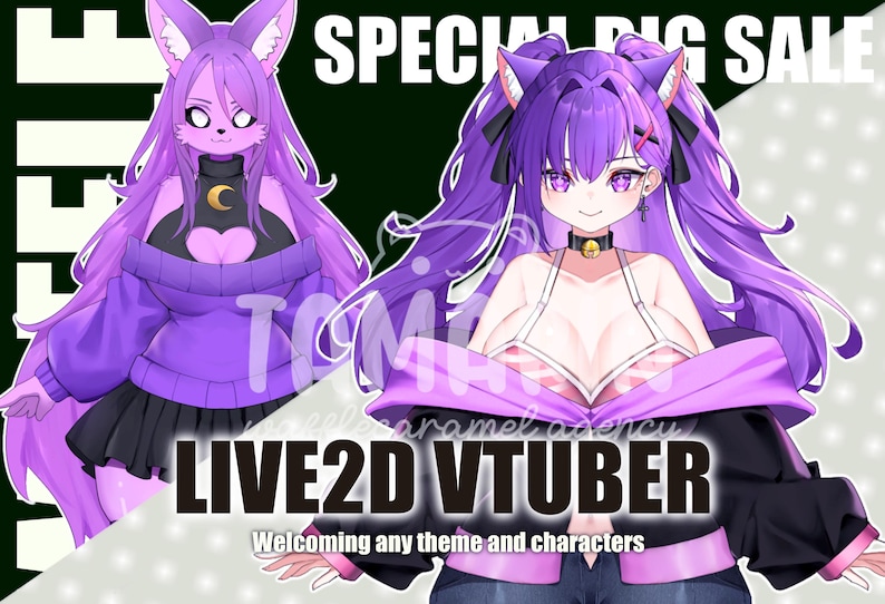 CUSTOM VTUBER LIVE2D anime art commission commercial use live 2d model vtuber model ready to rigging image 4