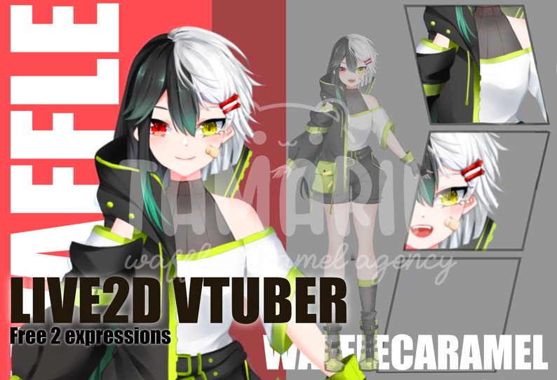 May include: A digital illustration of a female anime character with black and white hair, wearing a black and green outfit. The text "LIVE2D VTUBER" and "Free 2 expressions" is visible in the image.