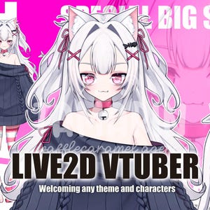 CUSTOM VTUBER LIVE2D anime art commission commercial use live 2d model vtuber model ready to rigging image 5