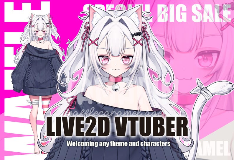 CUSTOM VTUBER LIVE2D anime art commission commercial use live 2d model vtuber model ready to rigging image 5