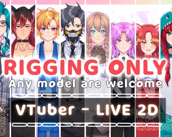 RIGGING ONLY | custom LIVE2D VTuber commission | commercial use | live 2d model | premade vtuber model | rigging