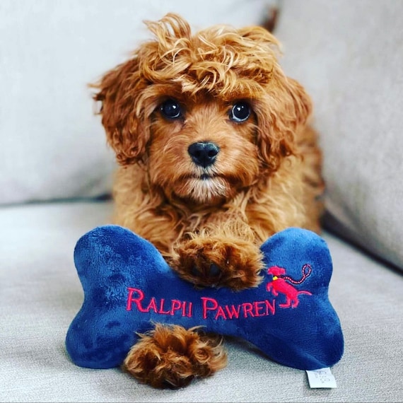 Designer Dog Toys - Pooch Luxury