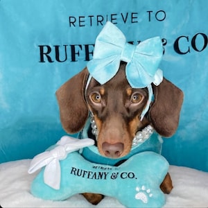 May include: A brown and tan dachshund wearing a light blue bow and a pearl necklace. The dog is holding a light blue bone with a white bow and the text "Retrieve to Ruffany & Co."
