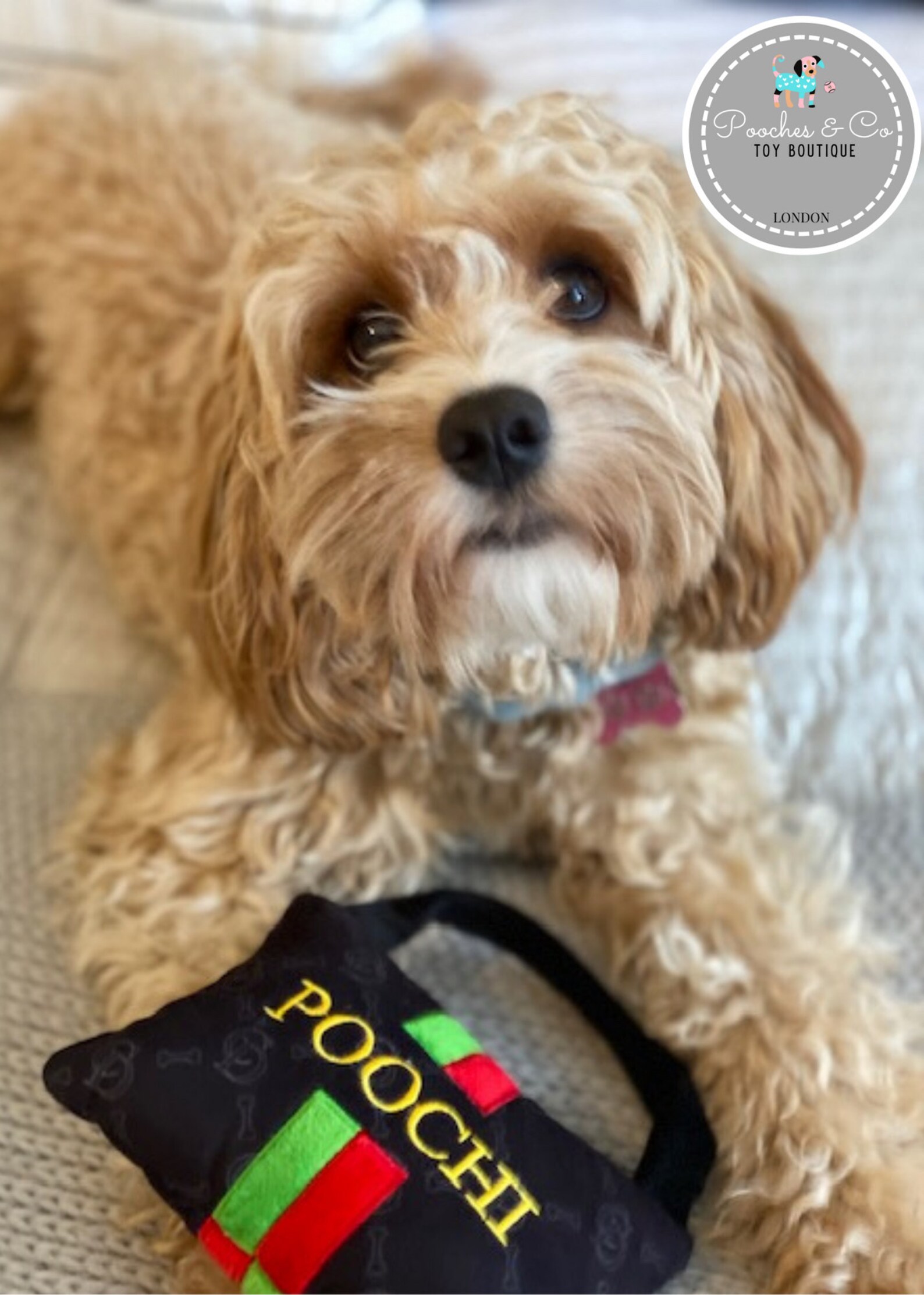 Dog Toys Poochi Handbag Dog Toy Designer Dog Gift Parody Etsy