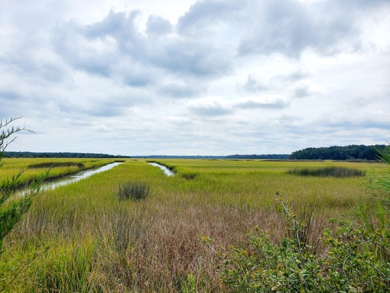 Rice Plantations In South Carolina Historic Rice Fields, South