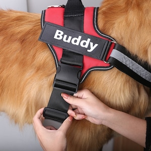 Dog Harness Etsy