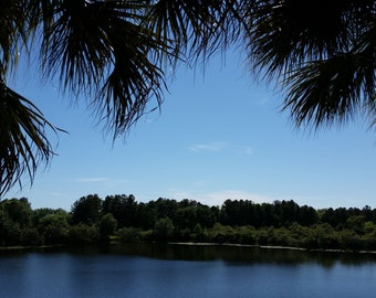 Paysage de la plage des Caraïbes de Disney