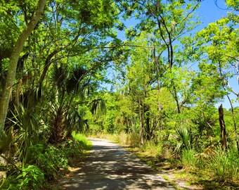 Sentier traversant Central Park à Ormond Beach, Floride
