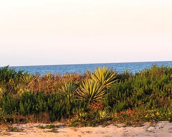 Dunes colorées sur l'Atlantique