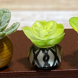 Dollhouse Miniature Potted Plant Succulent, 1:12 scale