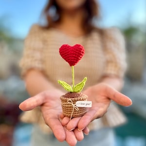 Könnte beinhalten: Eine kleine gehäkelte herzförmige Blume in einem braunen Topf mit einem Etikett, auf dem "Ich liebe dich!" steht.