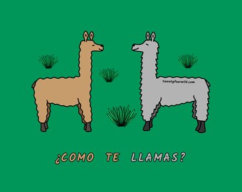 Llama ¿Como Te Llamas? | Kid Tee