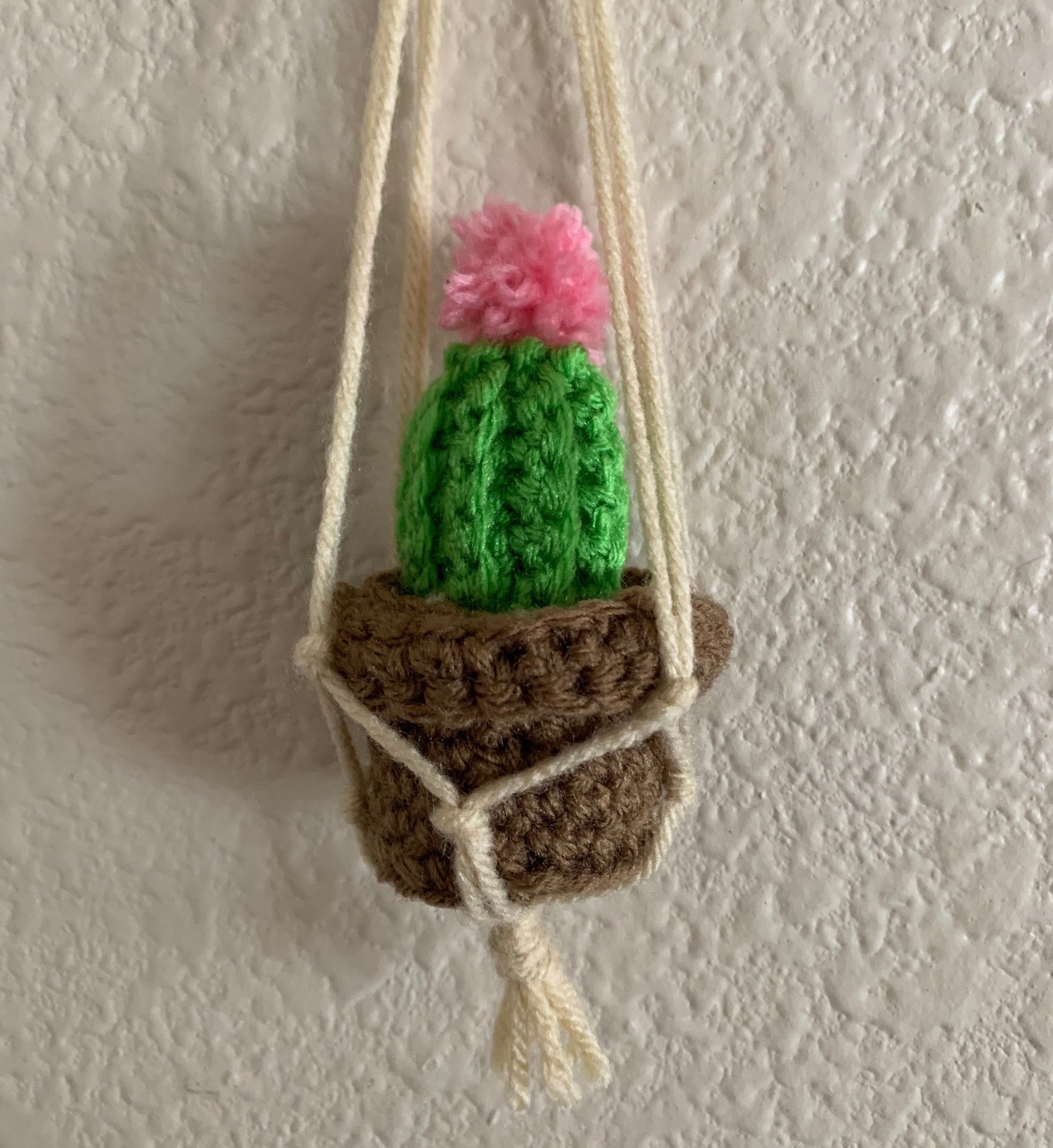 Custom Crochet Car Plant Hanger Etsy