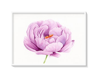 Peony Watercolor Print