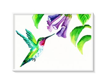 Hello Hummingbird Watercolor Print