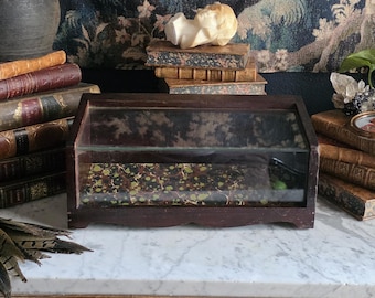 Antique Heavily Weathered General Store Display Case: Collection Box