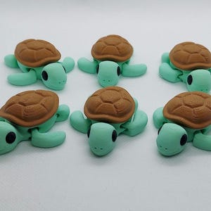 Sea Turtle