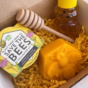 Monthly Subscription Honey Bee Box, Bee Gift Box With Florida Honey and Organic Soap