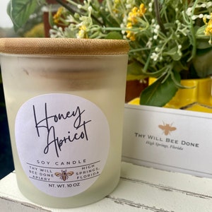 10oz Hand Poured Luxury Soy Candle, Honey Apricot Candle, Vegan Candle, Florida Gift, Honey Bee Theme Gift