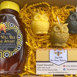 Honeybee Gift, Woodland Owl and Honey Gift Set, Florida Honey Gift Box, Honeybee Nature Box, Beeswax Candles