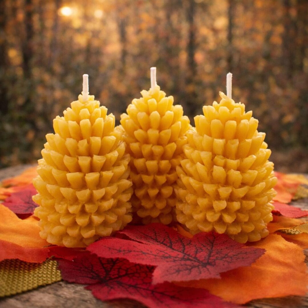 Pine Cone Beeswax Candles Set of 3 | Fall Beeswax Candle | Autumn ...
