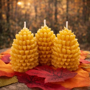 Set of 3 Pine Cone Candles, Beeswax Fall Candle, Autumn Pinecone Candle, Fall Tiered Tray Decor, Non Toxic Candle Thanksgiving Table Decor