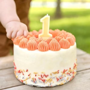 May include: A small, round cake with white frosting, decorated with orange frosting swirls and colorful sprinkles. A yellow number one candle sits atop the cake. A child's hand reaches towards the cake, suggesting a first birthday celebration.
