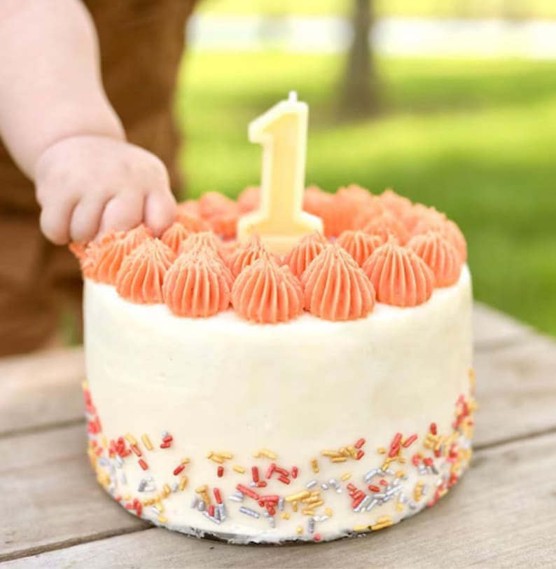 May include: A small, round cake with white frosting, decorated with orange frosting swirls and colorful sprinkles. A yellow number one candle sits atop the cake. A child's hand reaches towards the cake, suggesting a first birthday celebration.