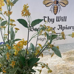 May include: A bouquet of artificial yellow and orange flowering stems with green leaves positioned in front of a banner featuring a bee graphic and the text Thy Will Bee Done Apiary High Springs FL with a honeycomb pattern in the corner.