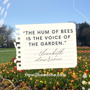 May include: A digitally created image featuring a quote by Elizabeth Lawrence: "THE HUM OF BEES IS THE VOICE OF THE GARDEN." The quote is on a torn paper design, set against a backdrop of a flower bed with colorful tulips and a clear blue sky.