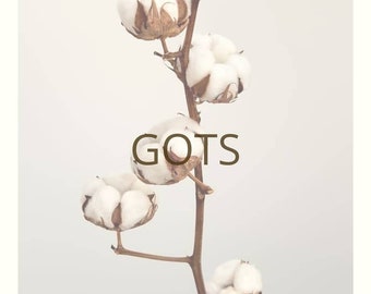 Peruvian GOTS Native Organic Cotton Brushed Fleece Sweatshirt and