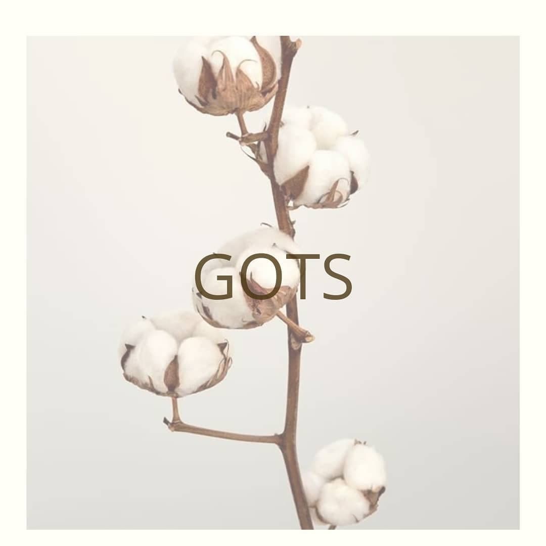 Peruvian GOTS Native Organic Cotton Brushed Fleece