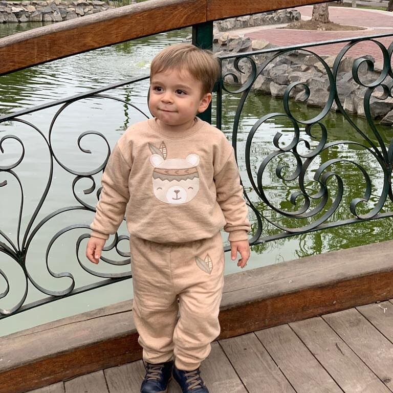 Organic Native Cotton, Peruvian GOTS Brushed Fleece