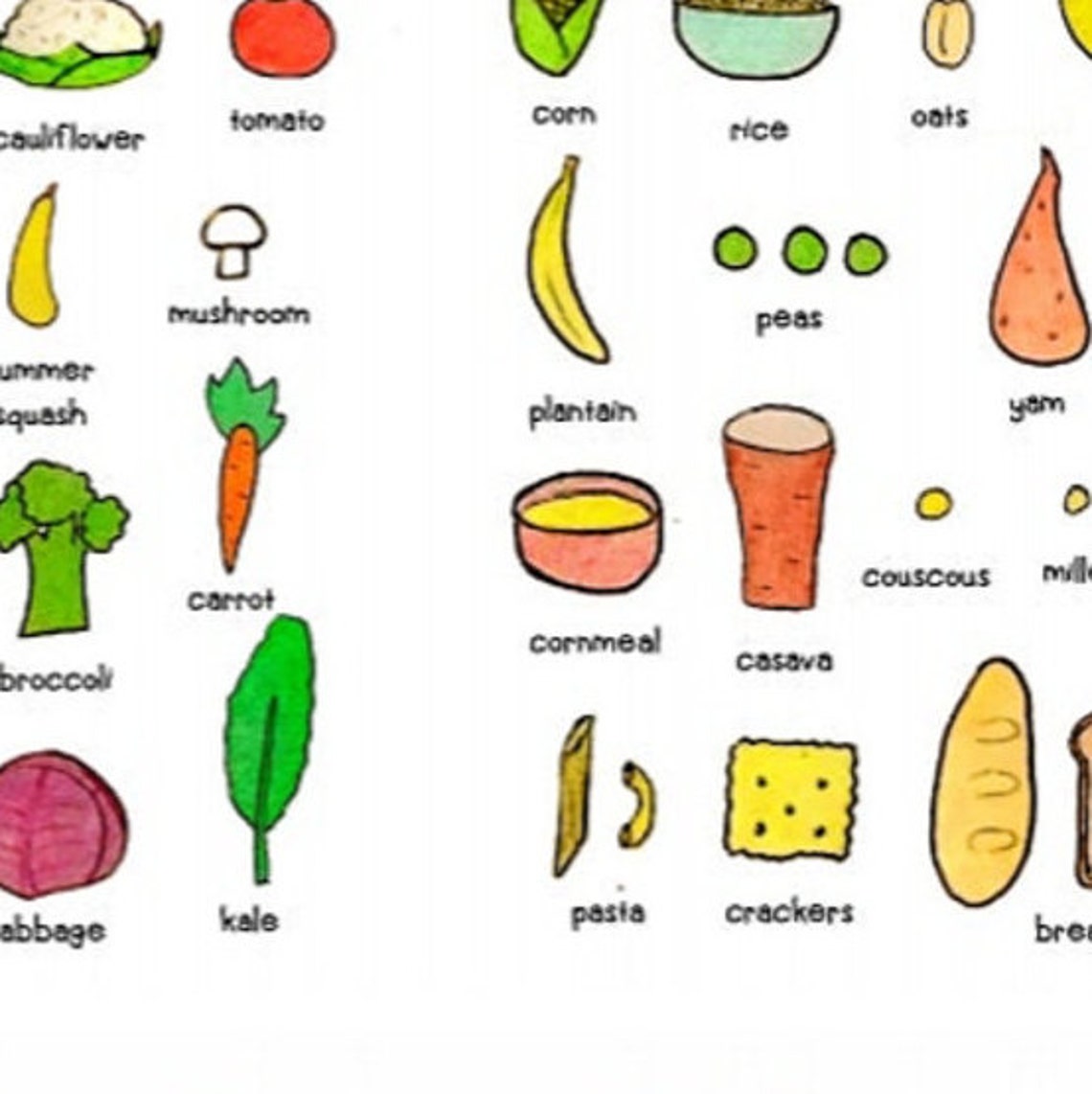 Bariatric Plate Guide Sleeve and Gastric Bypass L PRINTABLE Etsy UK