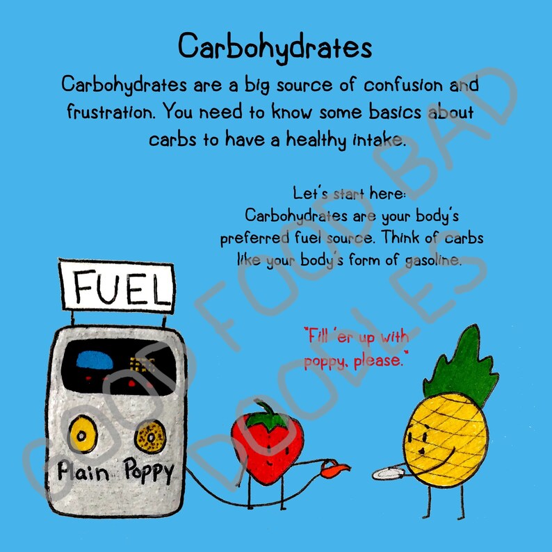 The Ultimate Illustrated Nutrition Book for Beginners L Etsy