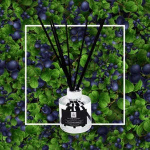 Black Plum & Rhubarb Reed Diffuser/Refill Bottle: Handmade Home Fragrance (100ml/200ml)