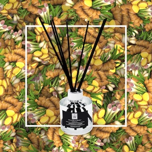 Lemongrass & Ginger Reed Diffuser/Refill Bottle: Handmade Home Fragrance (100ml/200ml)
