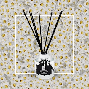 Daisy Reed Diffuser/Refill Bottle: Handmade Home Fragrance (100ml/200ml)