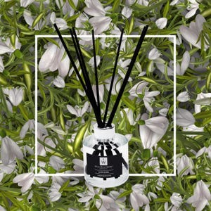 Snow Angel Reed Diffuser/Refill Bottle: Handmade Home Fragrance (100ml/200ml)