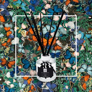 Angel Reed Diffuser/Refill Bottle: Handmade Home Fragrance (100ml/200ml)