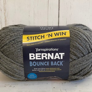 May include: A skein of Bernat Bounce Back yarn in a gray color. The label reads "Stitch 'N Win" and "Yarnspirations".