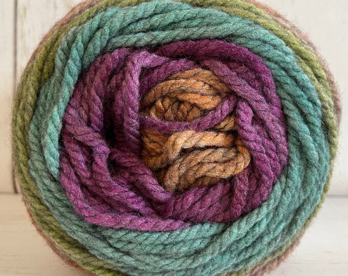 SMOKED FRUIT Caron TEA Cakes 8.5 Oz 204 Yrds Etsy