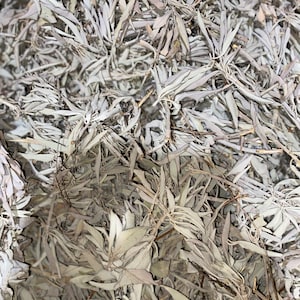 Sacred Sage Cluster Smudge Stick: Cleanse and Purify Your Space with the Power of Nature&#39;s Healing Energy.