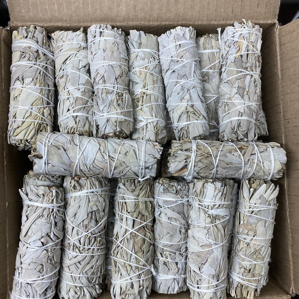 4" Mexican White Sage Wholesale 100 pieces. 100% Natural.