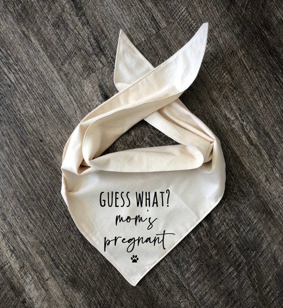 Guess what mom's pregnant dog bandana, guess what pregnancy announcement, Tie on dog bandana, baby announcement, going to be a big brother
