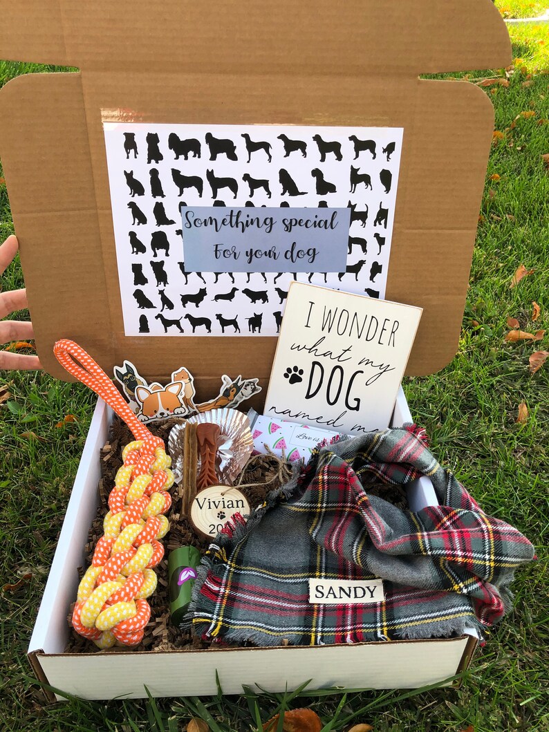 Dog gift boxes Gift for dog Happy birthday box for dog Dog Etsy