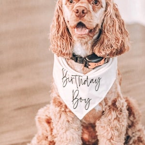 Birthday boy dog bandana, Dog Birthday girl tie on bandana, personalized dog bandana, dog birthday gift, first birthday dog bandana gift